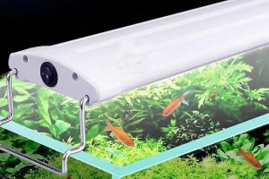 Những yếu tố ảnh hưởng đến việc lựa chọn đèn LED cho bể cá