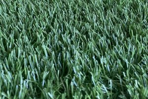Cách vệ sinh thảm cỏ nhân tạo